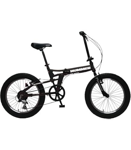 Amazon | Raychell(レイチェル) 20インチ 折りたたみ自転車 FB-206R